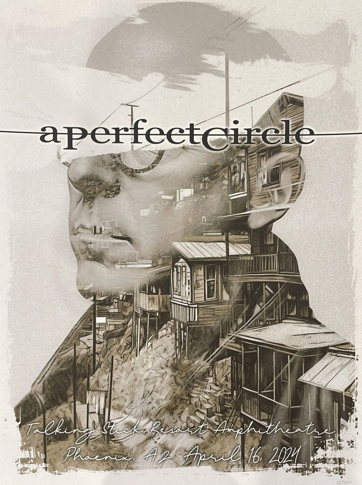 APC Poster Phoenix, AZ 4.16.24