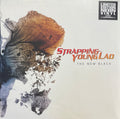STRAPPING YOUNG LAD - The New Black [NEON LP]
