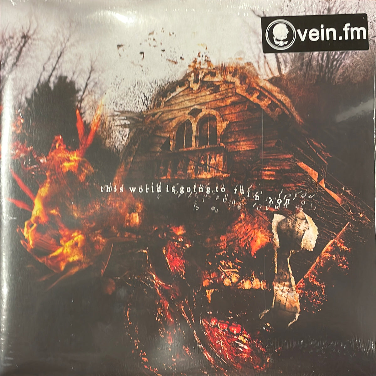 VEIN.FM - This World is Going to Ruin You [2LP]