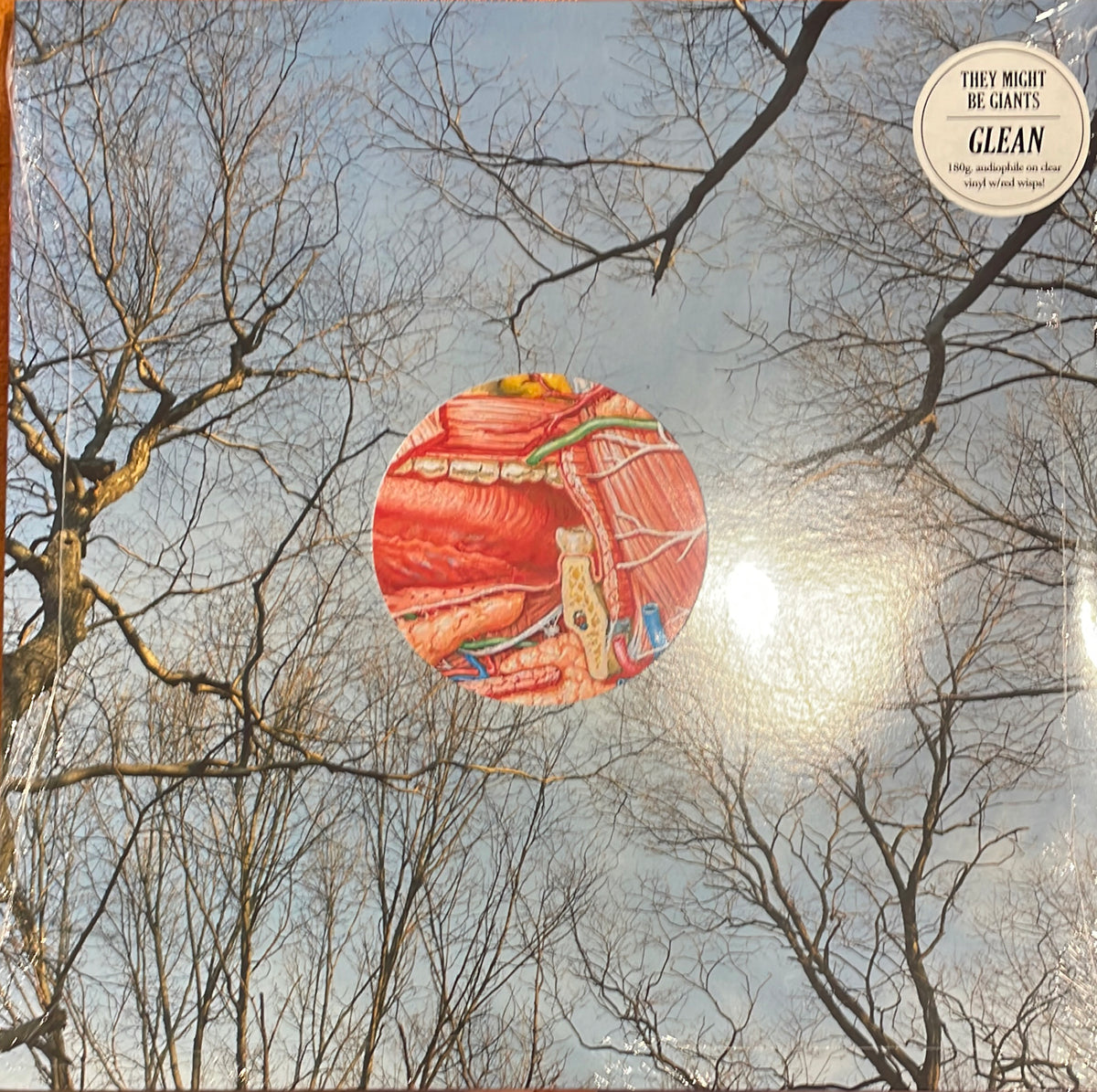 THEY MIGHT BE GIANTS - Glean [RED WISPY LP]