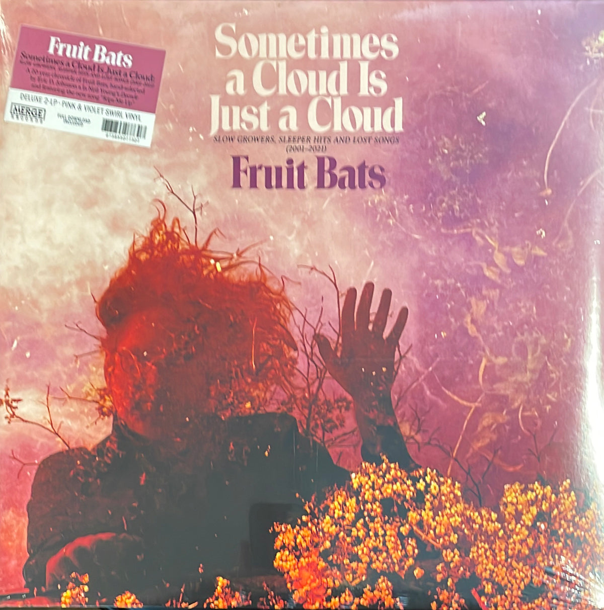 FRUIT BATS - Sometimes a Cloud Is Just a Cloud [PINK/VIOLET SWIRL 2LP]