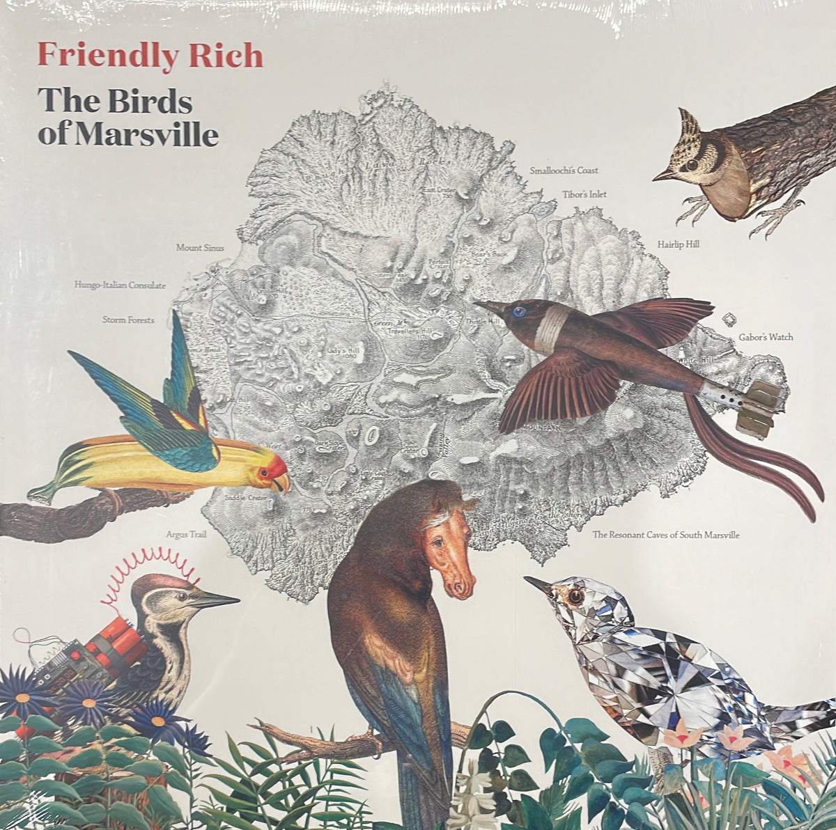FRIENDLY RICH - The Birds Of Marsville [LP]