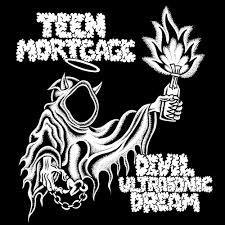 TEEN MORTGAGE - Devil Ultrasonic Dream [LP]