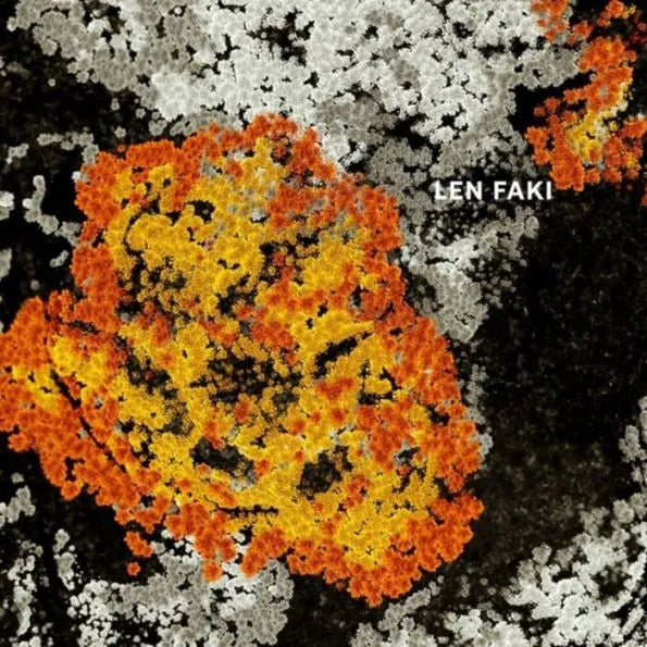 FAKI, LEN - FUSION 12" LP