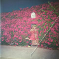 Feist LP Pleasure