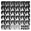 HARRY PUSSY - LET'S BUILD A PUSSY 2LP