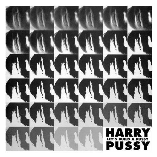 HARRY PUSSY - LET'S BUILD A PUSSY 2LP