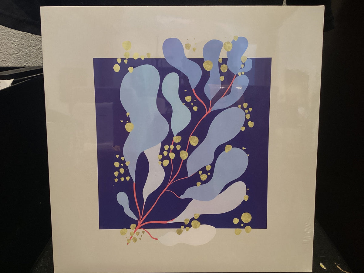 SALAMANDA In Parallel LP