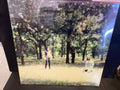 THE FUCKING CHAMPS III 2lp
