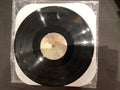 [USED] SOUNDGARDEN King Animal 2LP