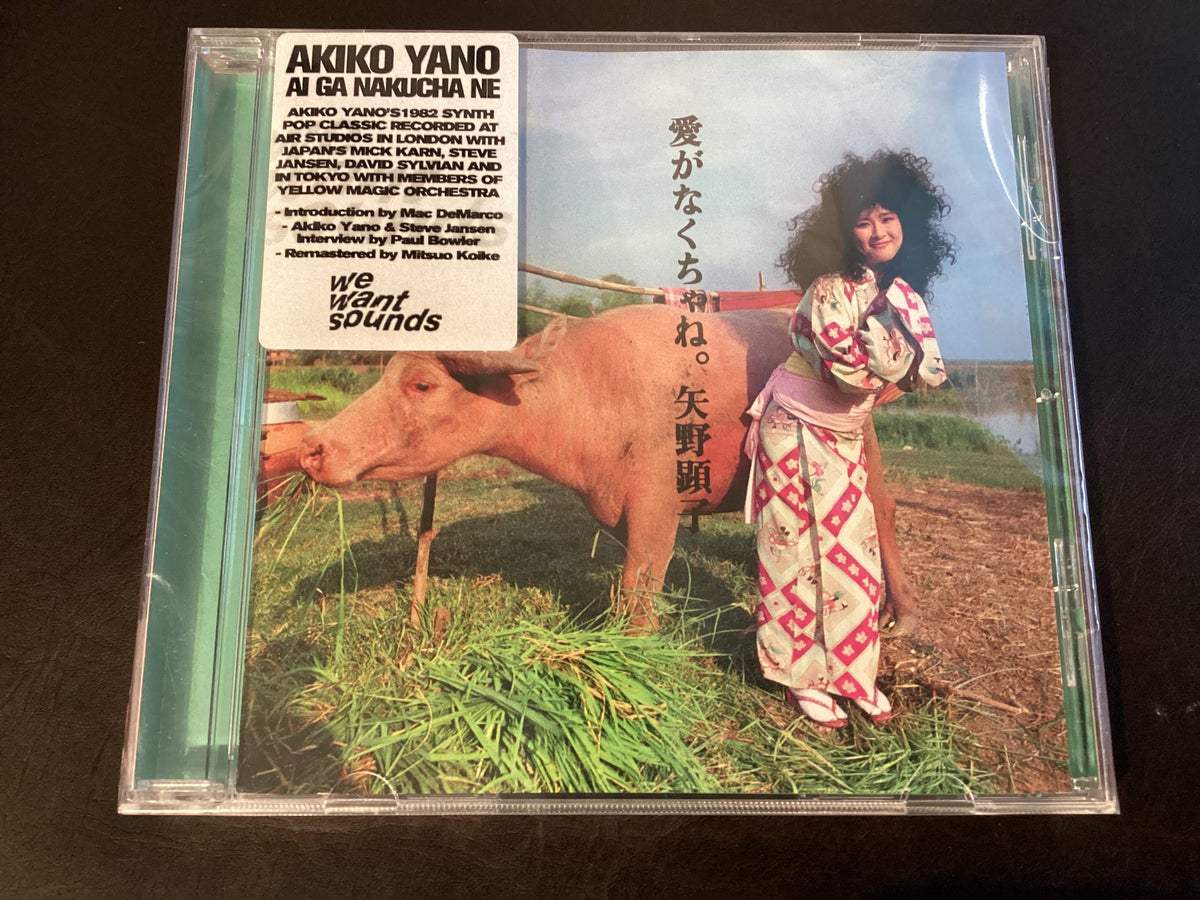 AKIKO YANO - Ai Ga Nakucha Ne [CD]