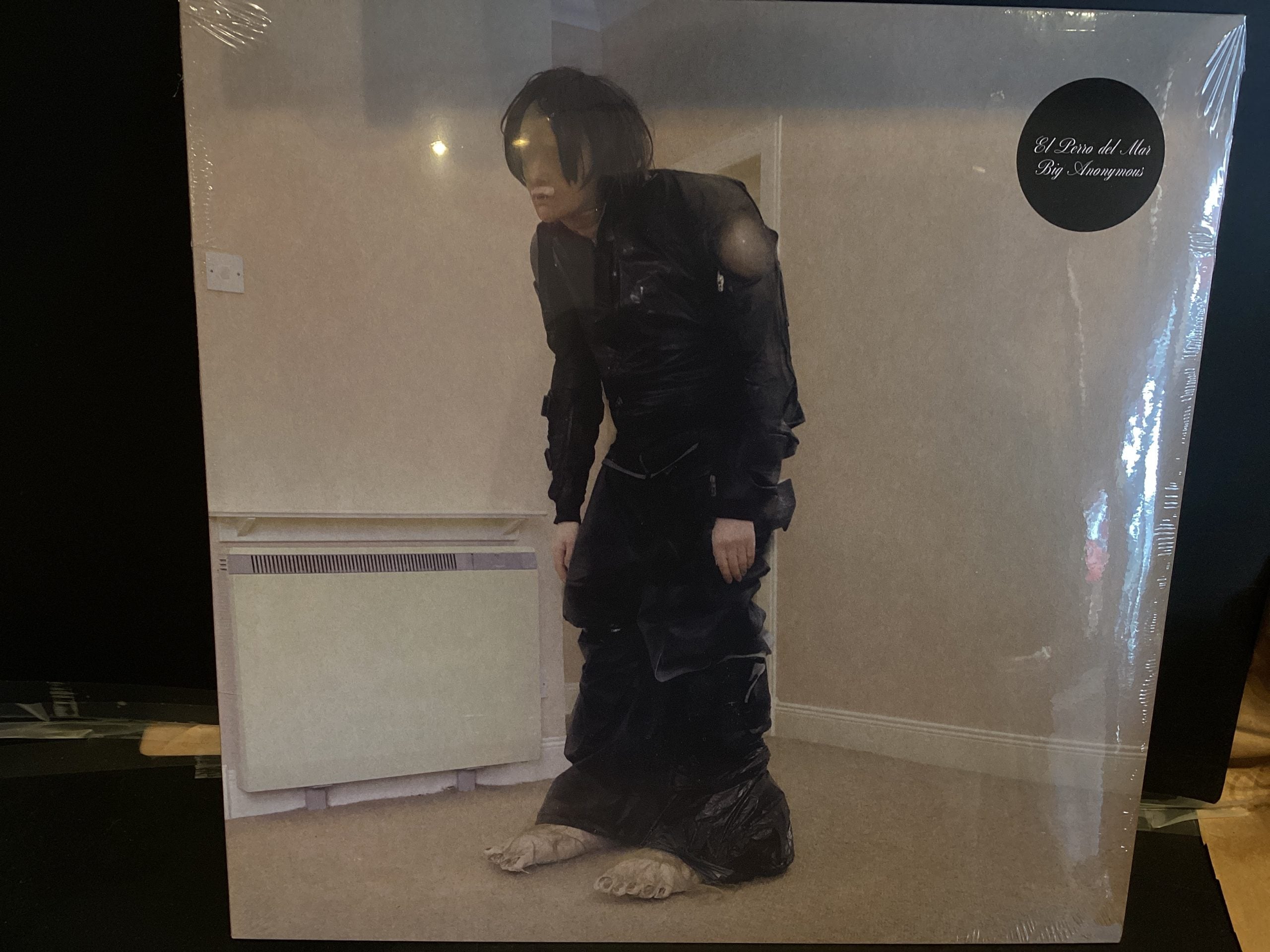 EL PERRO DEL MAR Big Anonymous LP