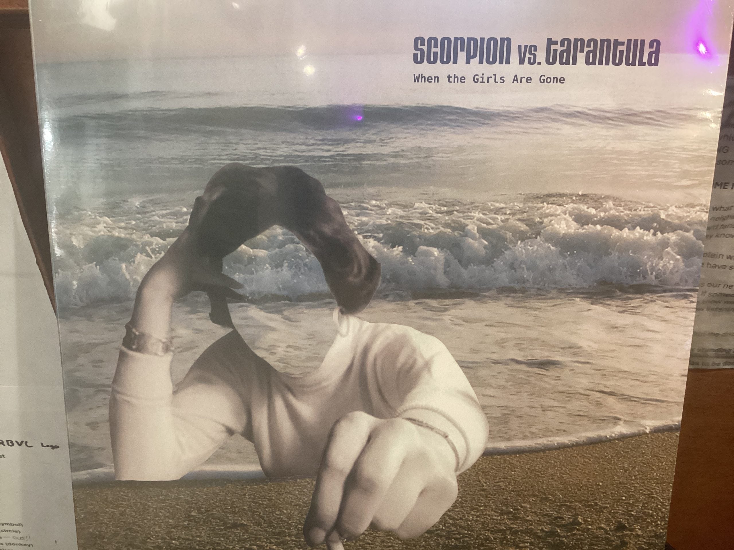 SCORPION VS TARANTULA When The Girls Are Gone LP