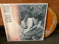AUTHOR & PUNISHER - Nocturnal Birding (Custom Merge Vinyl)