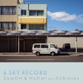 DAMON AND NAOMI a sky record LP
