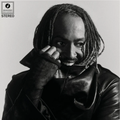 THUNDERCAT - Distracted {Black Marble Smoke LP}