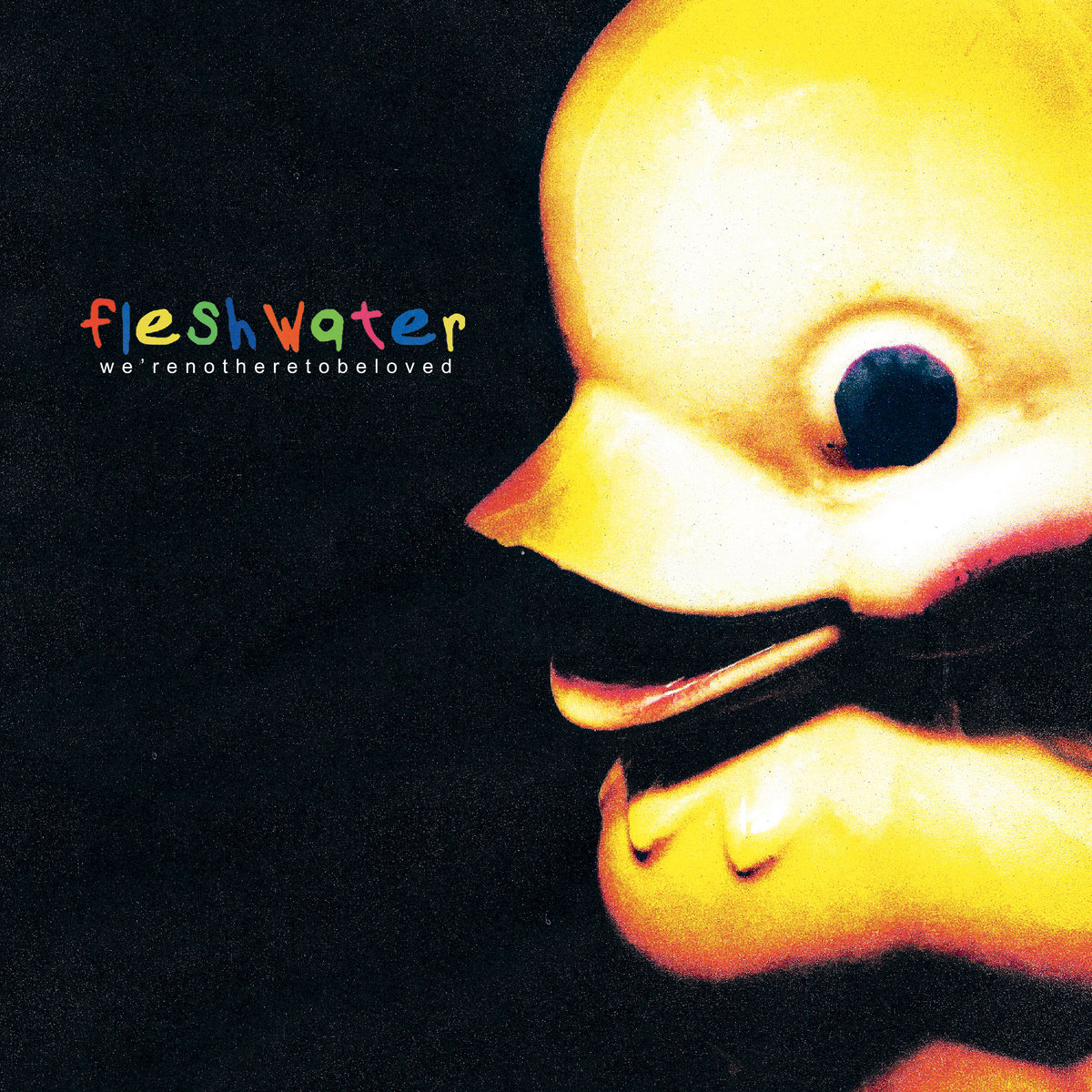 FLESHWATER - We're Not Here To Be Loved [CD]