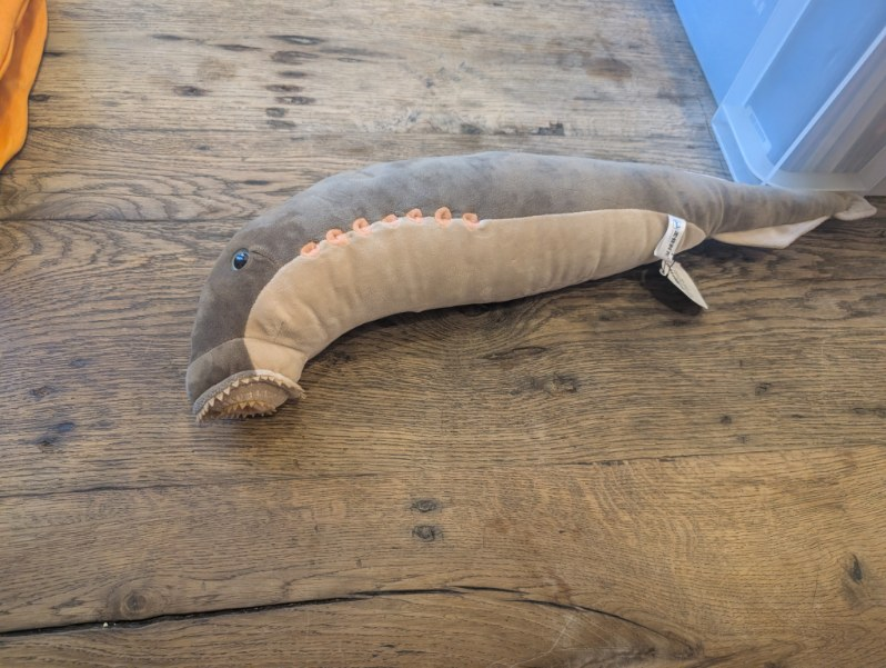 Goblin Shark Soft Plush Toy - Gage Beasley