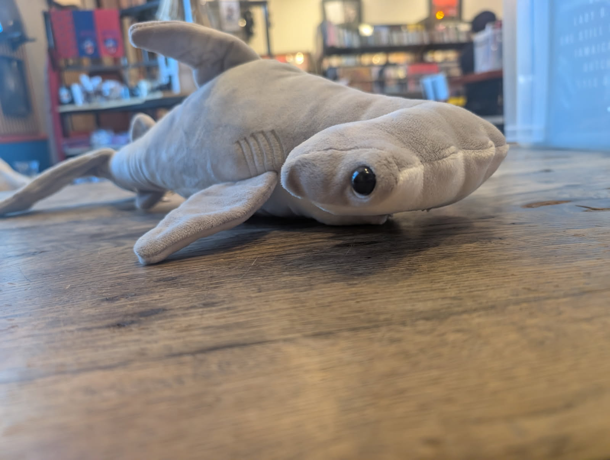 Hammerhead Shark Soft Plush Toy - Gage Beasley
