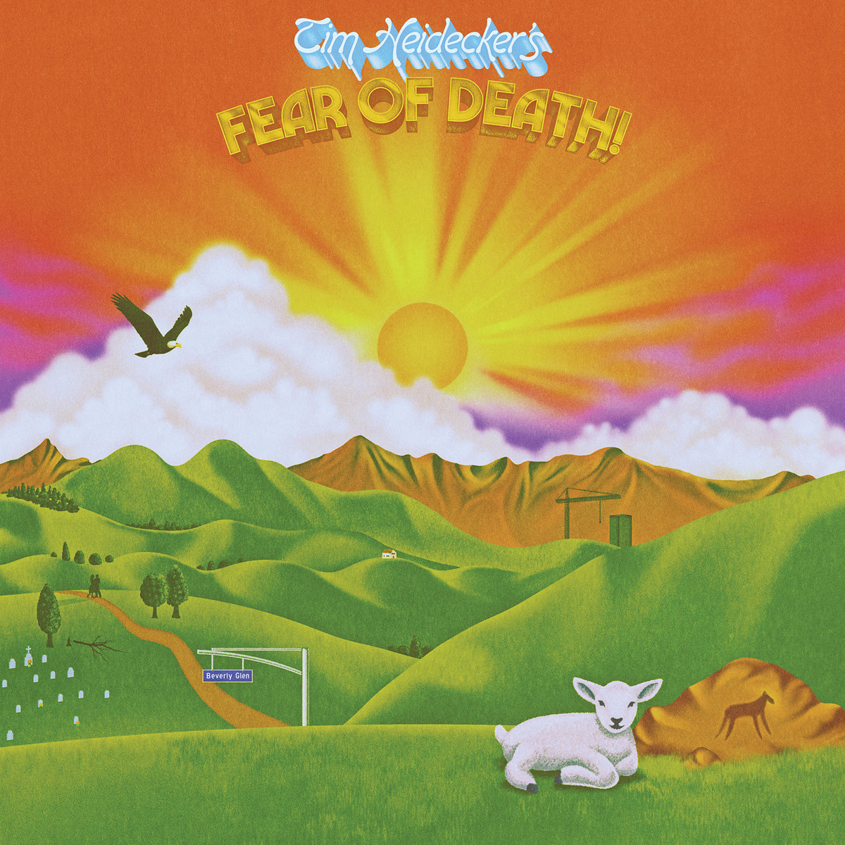 HEIDECKER, TIM - Fear Of Death [LP]