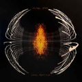 Pearl Jam- Dark Matter (Black Silver Galaxy Vinyl)