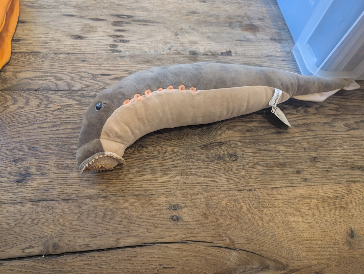 Sea Lamprey Soft Stuffed Plush Toy - Gage Beasley