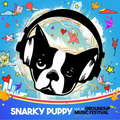 SNARKY PUPPY - Live At Groundup Music Festival (RSD 26) {LP}