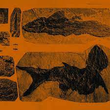 ANNELIES MONSERE - MARES LP