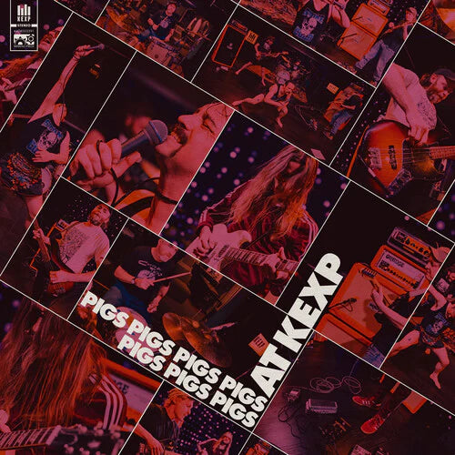 PIGS PIGS PIGS PIGS PIGS PIGS PIGS--Live at KEXP RSD24