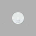 RHYE The Fall 12" LP RSD 2024