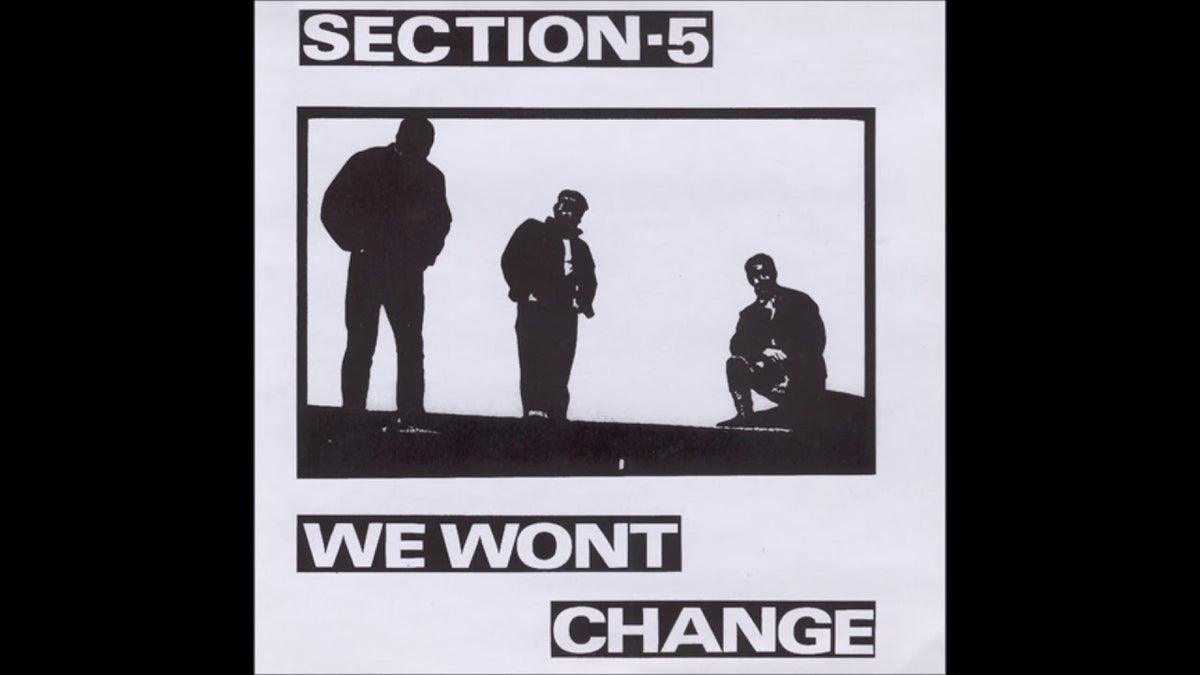 SECTION 5 - WE CAN'T CHANGE LP (RSD23)