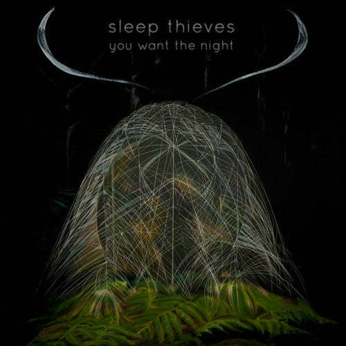 Sleep Thieves LP You Want The