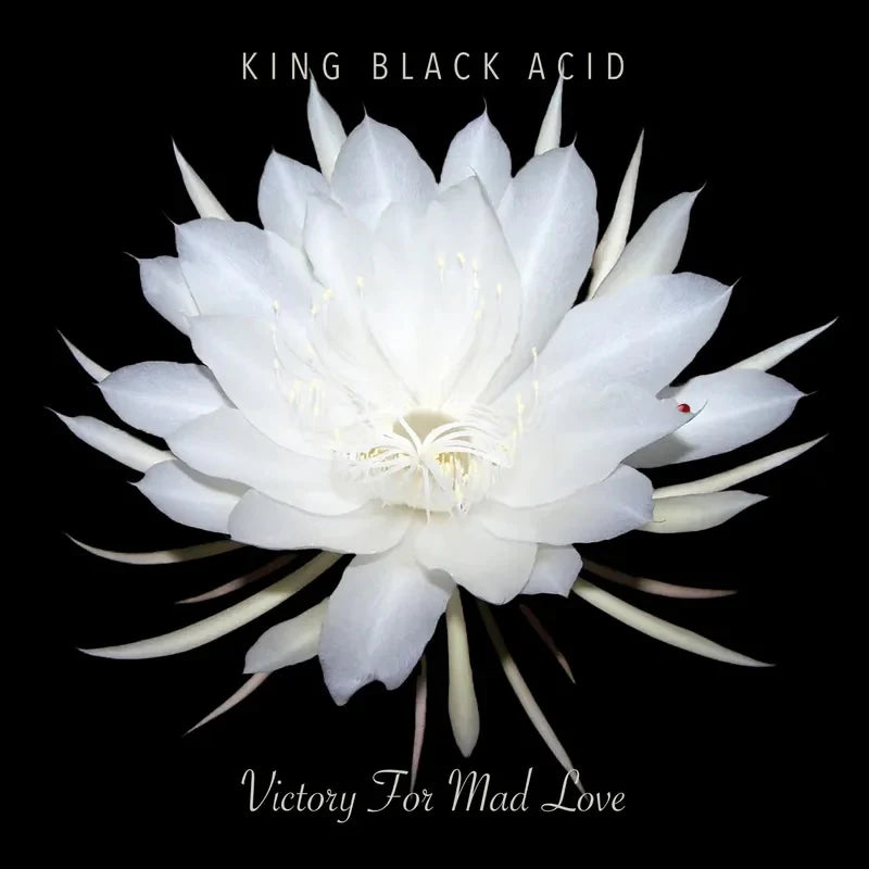 KING BLACK ACID - VICTORY FOR MAD LOVE (RSD24)